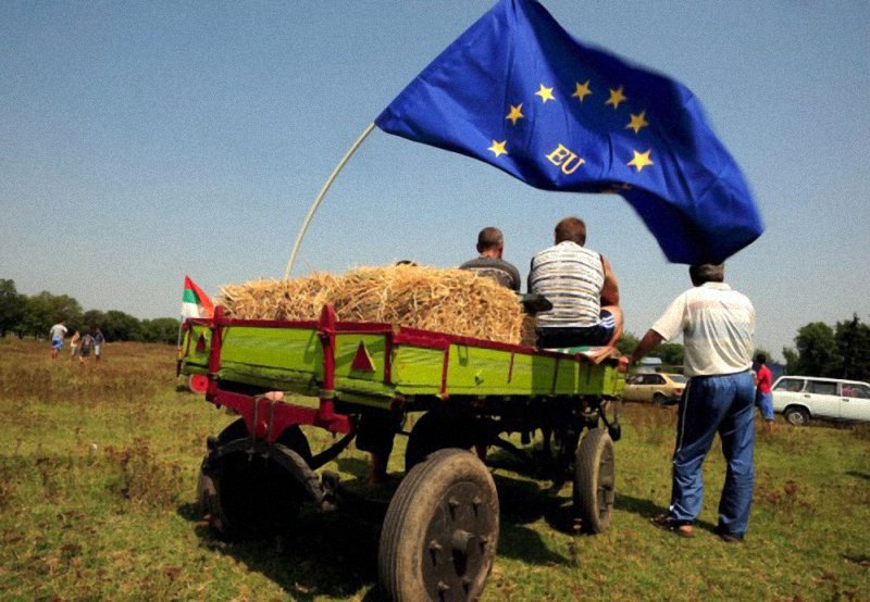 Comisia Europeană extinde până în iunie 2016 ajutoarele pentru agricultorii europeni, în urma embargoului rus 