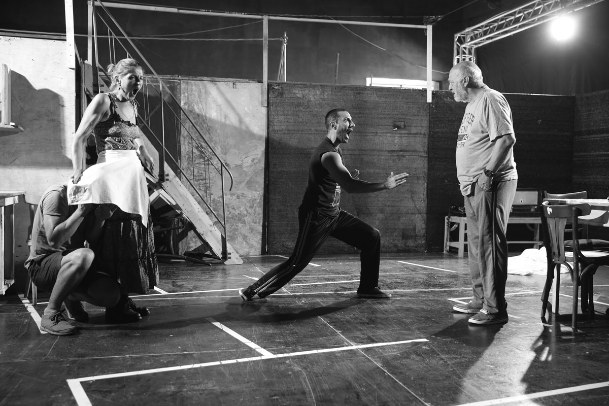 ,,Ecarisajul pentru toți” de  Boris Vian, proiect important al  noii stagiuni teatrale