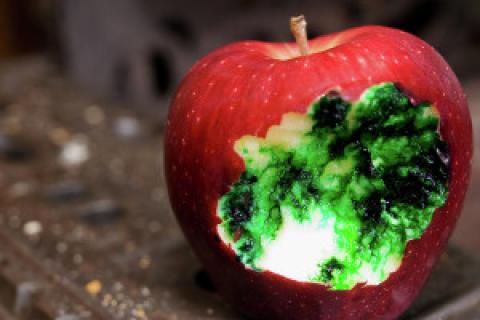 Editorial Paul Szasz Sebes : Mărul otrăvit
 