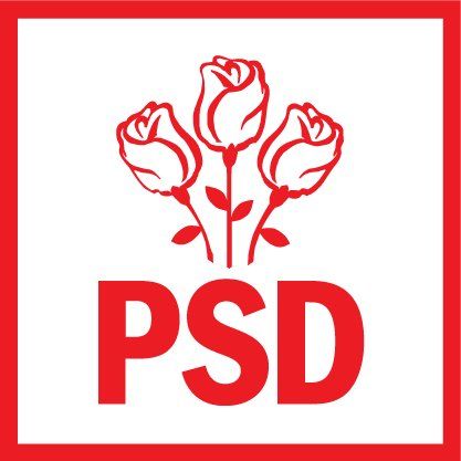 Candidații PSD Arad pentru alegerile parlamentare au fost desemnați în CEX