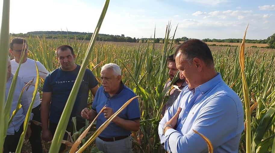Mihai Fifor : Ministrul agriculturii, Petre Daea, a demonstrat, a mia oara, că îi pasă și că îi respectă profund pe fermierii arădeni